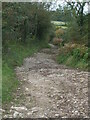 Craggy trail down to Christon Hill