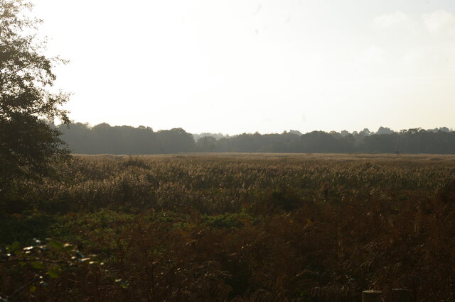 The Fens, from the old railway line