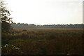 The Fens, from the old railway line