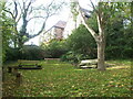 Seats in the garden at the back of Christon Road