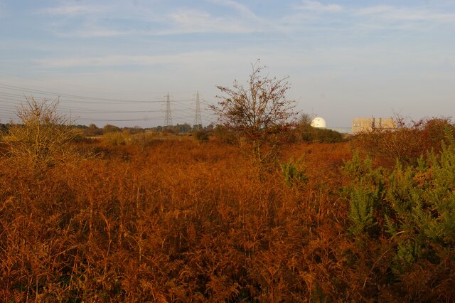 Sizewell nuclear power stations from the heathland to the south