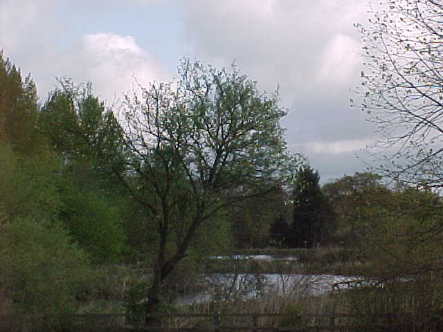 Two of the Peatling Pools