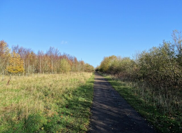 Looking up the Consett railway path