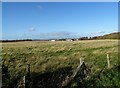 NZ1050 : Field beside the railway walk by Robert Graham