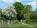 Gate on bridleway 807_1