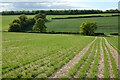 SU4251 : Farmland, St Mary Bourne by Andrew Smith
