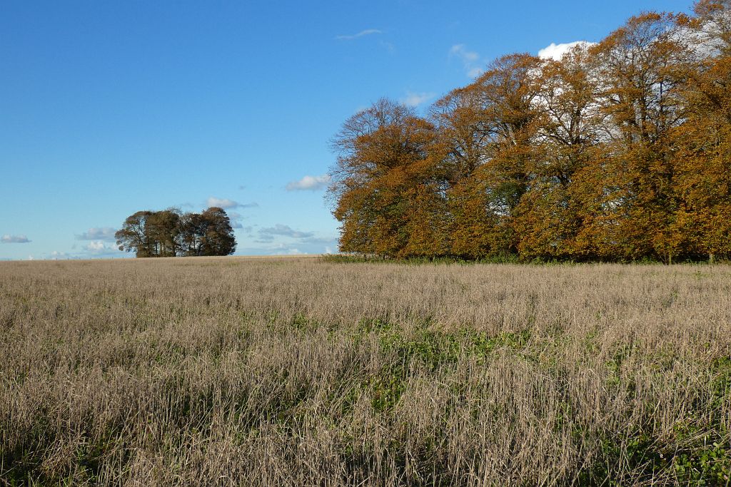 Farmland With Copses, Grafton © Andrew Smith Cc-by-sa 2.0 :: Geograph 