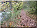 Clyde Walkway near Hazelbank