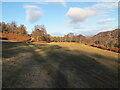 Field in Strath Avon