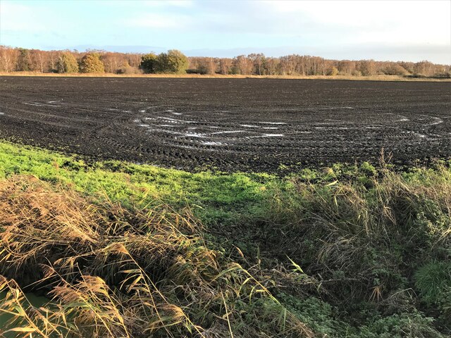 Saturated farmland near Holme Fen, Cambridgeshire