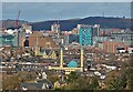 The centre of Sheffield seen from Meersbrook Park