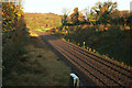 Railway line from Stowford Bridge