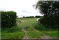 Field entrance off Tetford Road, Greetham