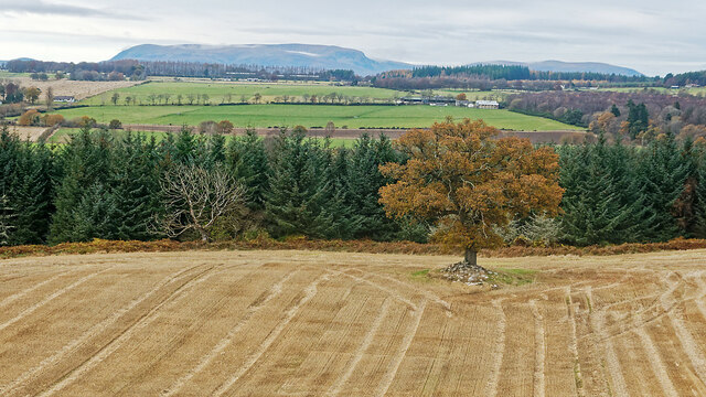 Fields below Gallow Hill, Black Isle by Julian Paren