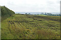 The top of Horsenden Hill