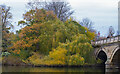 TQ2680 : Autumn Colours near The Serpentine Bridge, Kensington Gardens by Roger Jones