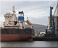 J3576 : The 'CL Beijing' at Belfast by Rossographer