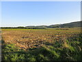 Field near Knowhead