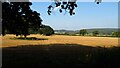 Path leading to Moston Lodge, Stanton upon Hine Heath