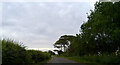 Bluestone Heath Road beside Bluestone Strip woodland