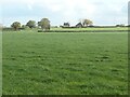 Wastegate Farm, from the north-west