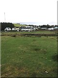 SX5873 : Part of Princetown by jeff collins