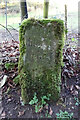 Milestone, Tunley Lane