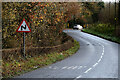 Sharp bends along Crevenagh Road