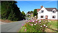 Road through Tilley near Wem