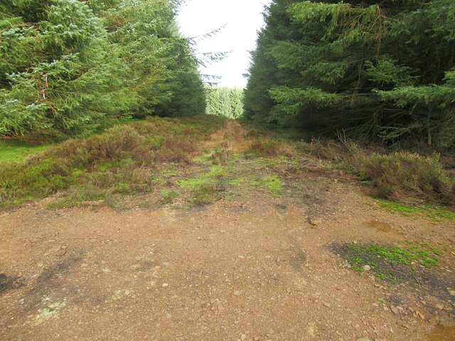Change of surface - change of vehicle in Harecleugh Forest