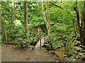 Footbridge over the Red Beck, Wood Bottom