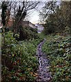 Path leading to Puxton Lane