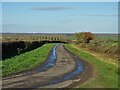 Shaw Road, Gringley-on-the-Hill