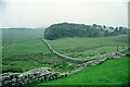 NY7968 : Hadrian's Wall at Housesteads Fort by Martin Tester