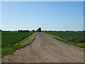 Farm track off Cumberworth Road