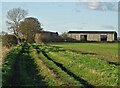 Utilitarian farm buildings north of Roe Lane