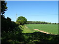 Farm track off Hanby Lane