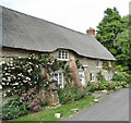 Burton Bradstock - Thatched Cottages