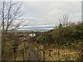 View from the path down to Blackfyne