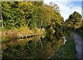 Staffordshire and Worcestershire Canal in Kidderminster