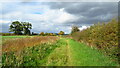 On the Shropshire Way heading towards Felton Butler from Shrawardine