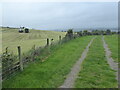 The Pennine Bridleway near Hurst Hill