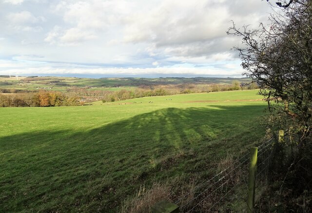 Fields on the west side of the Derwent Walk