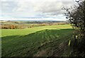 NZ1054 : Fields on the west side of the Derwent Walk by Robert Graham