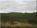 Reclaimed fields and spoil heap