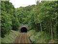 South portal of Bowling tunnel