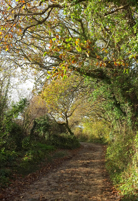 Woodhuish Lane © Derek Harper cc-by-sa/2.0 :: Geograph Britain and Ireland