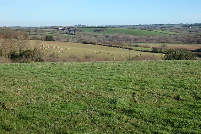 Pasture, Philleigh