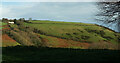 Hillside above Man Sands