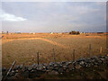 Crofting land by Lower Barvas